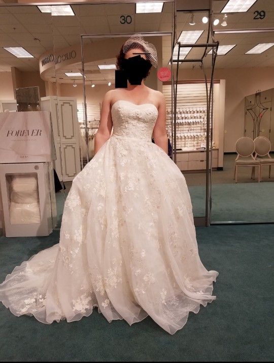 Wedding Gown ~ Exquisite