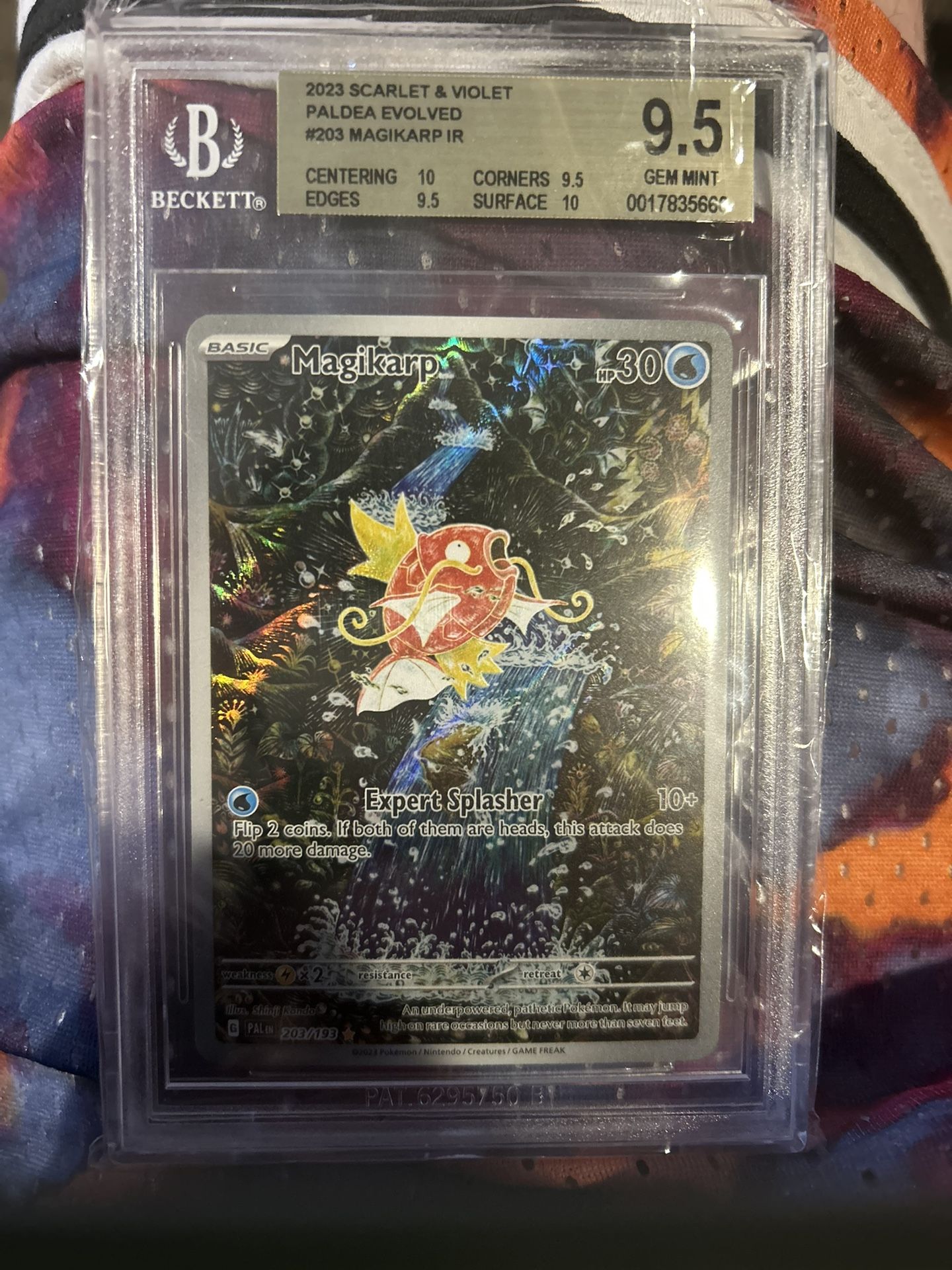 Magikarp 203/195 paldea evolved Beckett 9.5