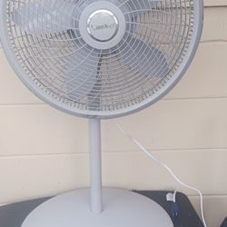 Fan 