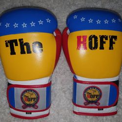 Boxing gloves