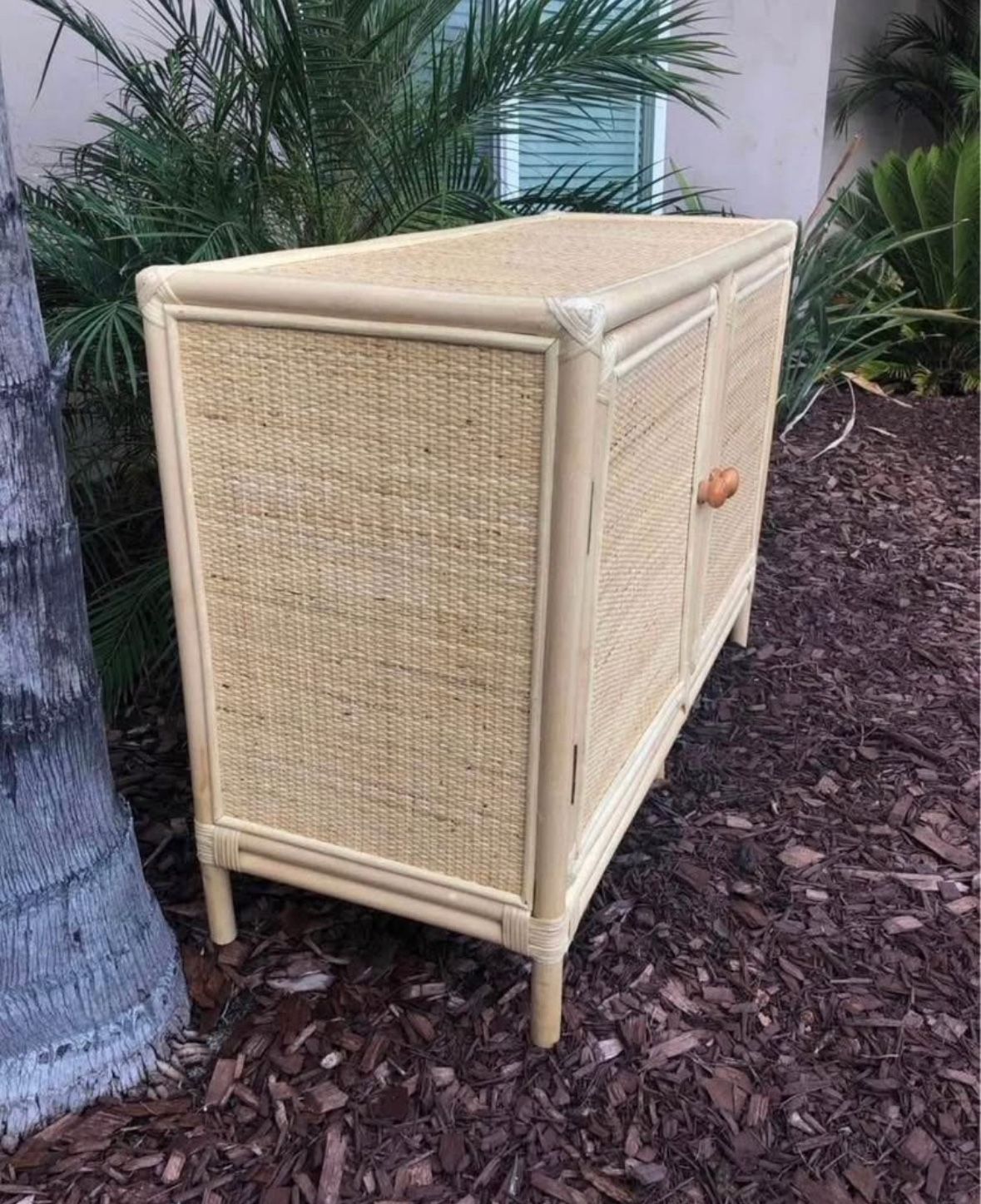 Boho rattan two door cabinet