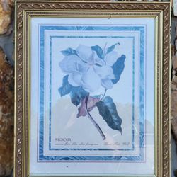Gold Framed Magnolia Print
