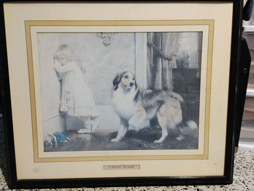 A Special Pleader Picture