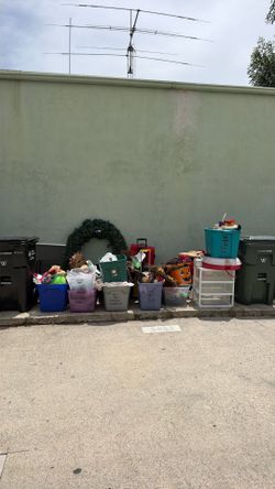 FREE Stuff