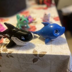 Little Live Pets And Babyshark 