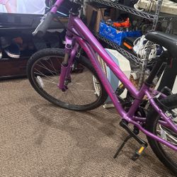 specialized 