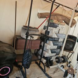 Power tower or pull-up and dip station