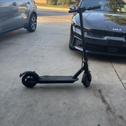 Electric Scottie Lmk 