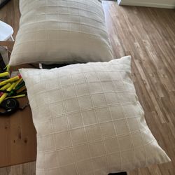 2 Couch Pillows From Target