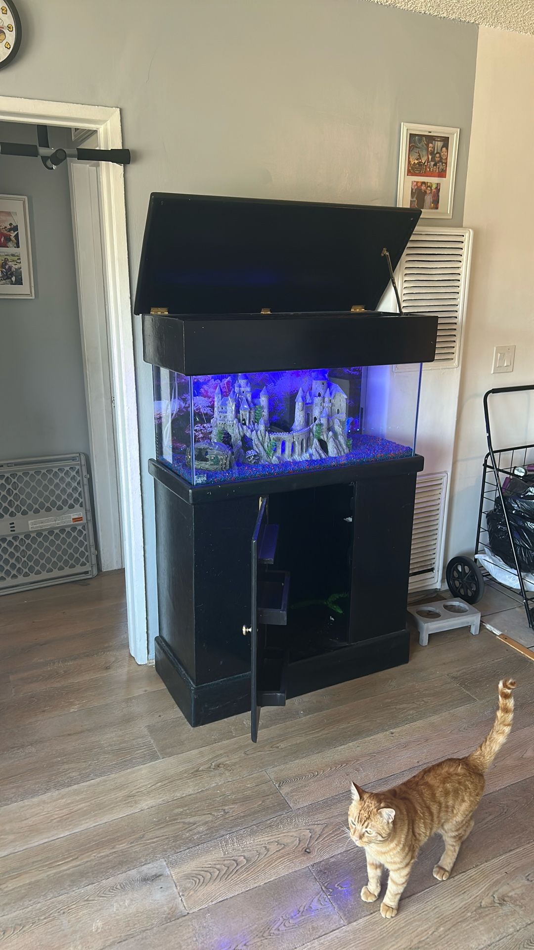 Fish Tank 