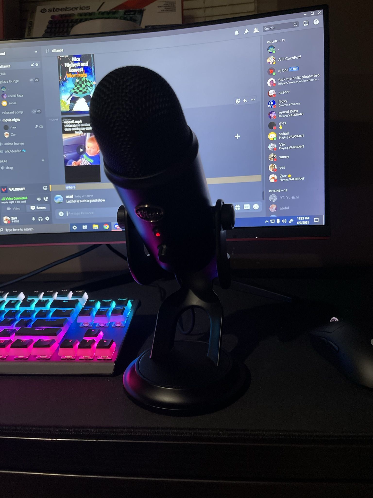 blue Yeti Professional Gaming Mic