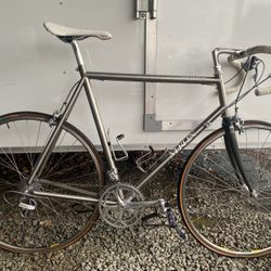 Merlin Titanium 
