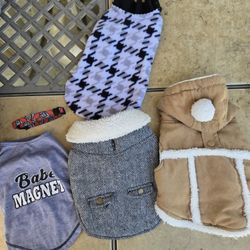 Small Boy Dog Clothes 