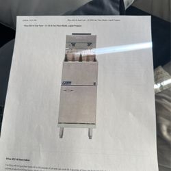 Pitco Fryer