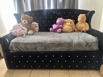 Pull Out Bed