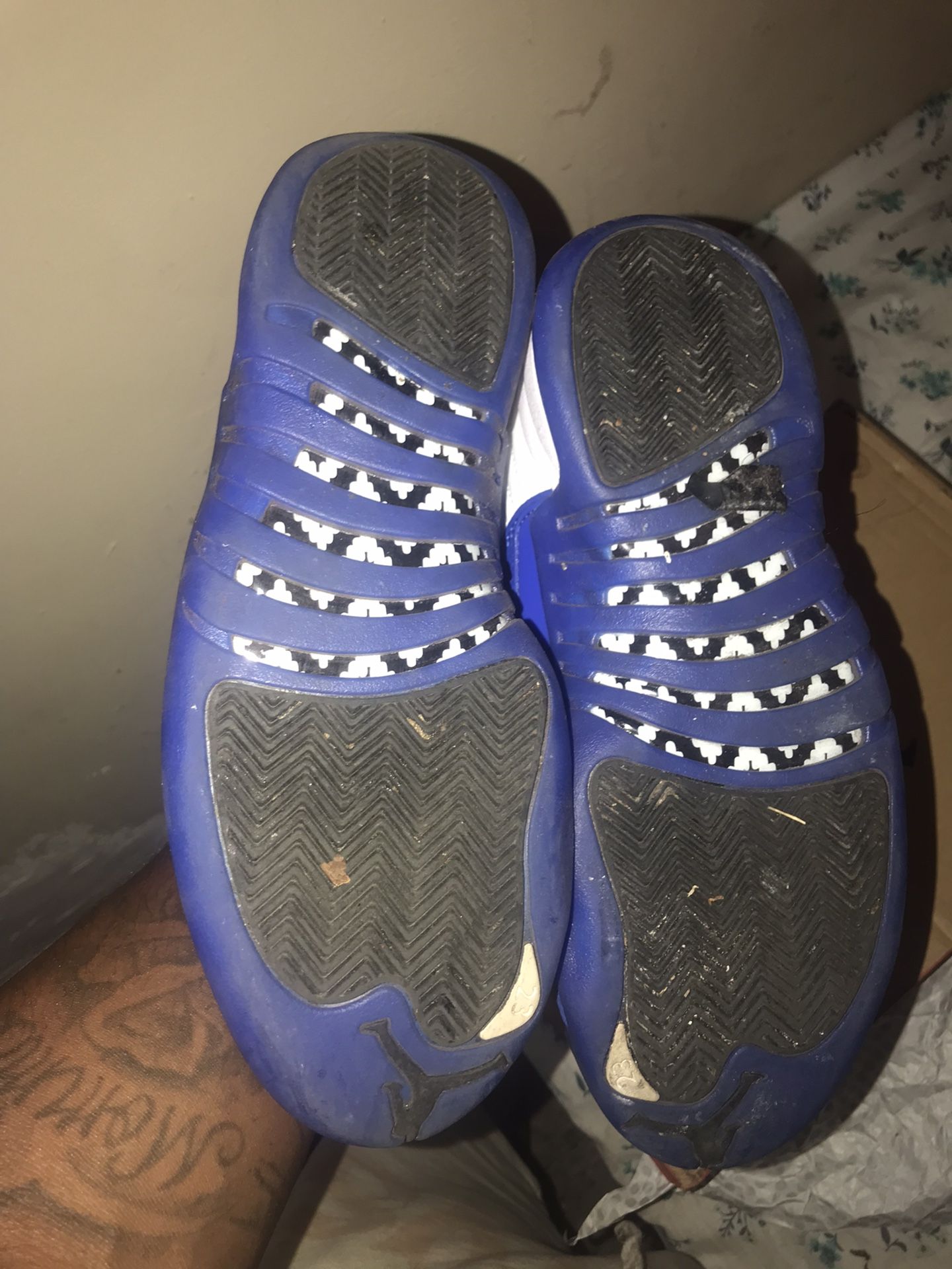 Blueberry 12s