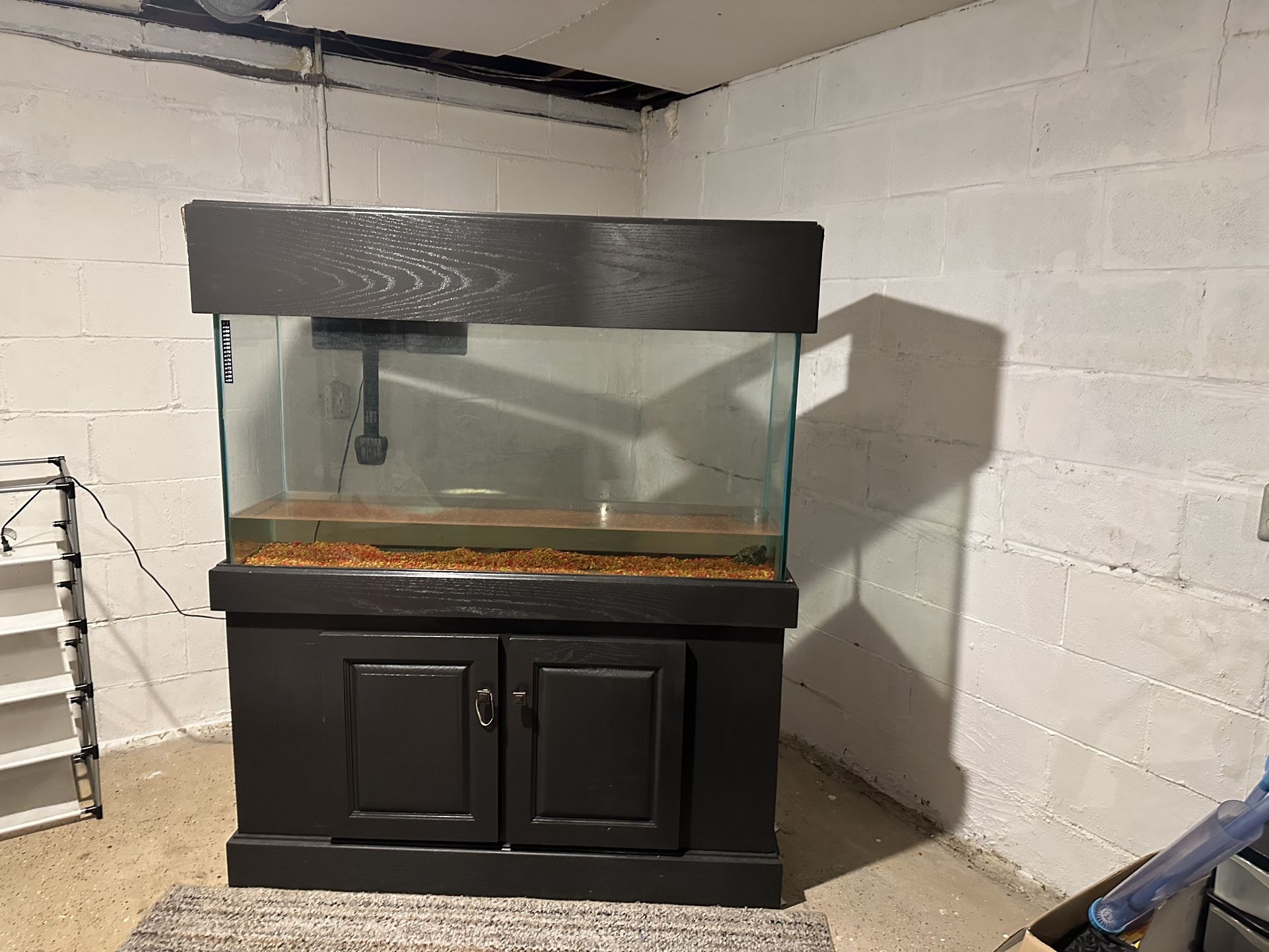 Fish Tanks
