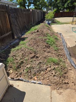 FREE Dirt