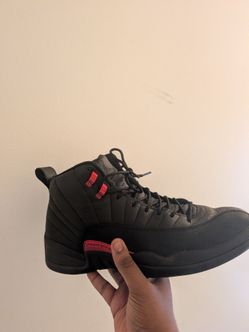 Jordan 12 Bloodline Size 12