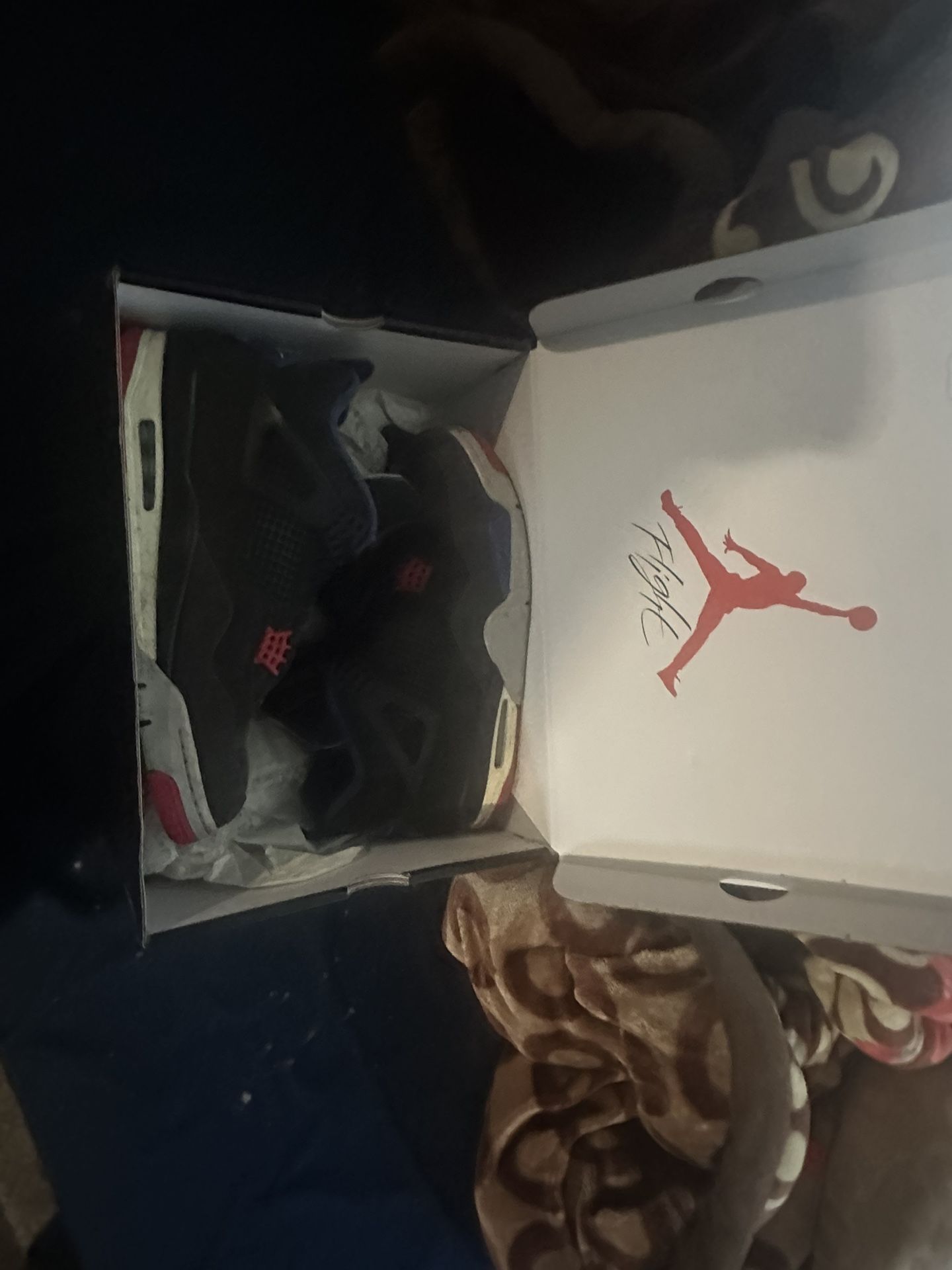 Jordan 4 Rare Air