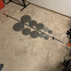 Standard Barbell + Weight Plates: Total 110 Pounds 