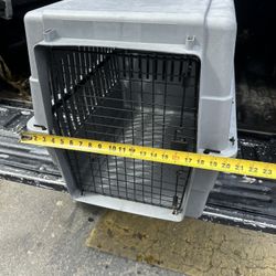 Cage Dog 