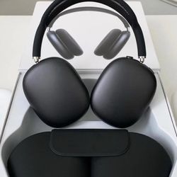Apple Max Headphones 