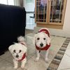 Lucky & Juno