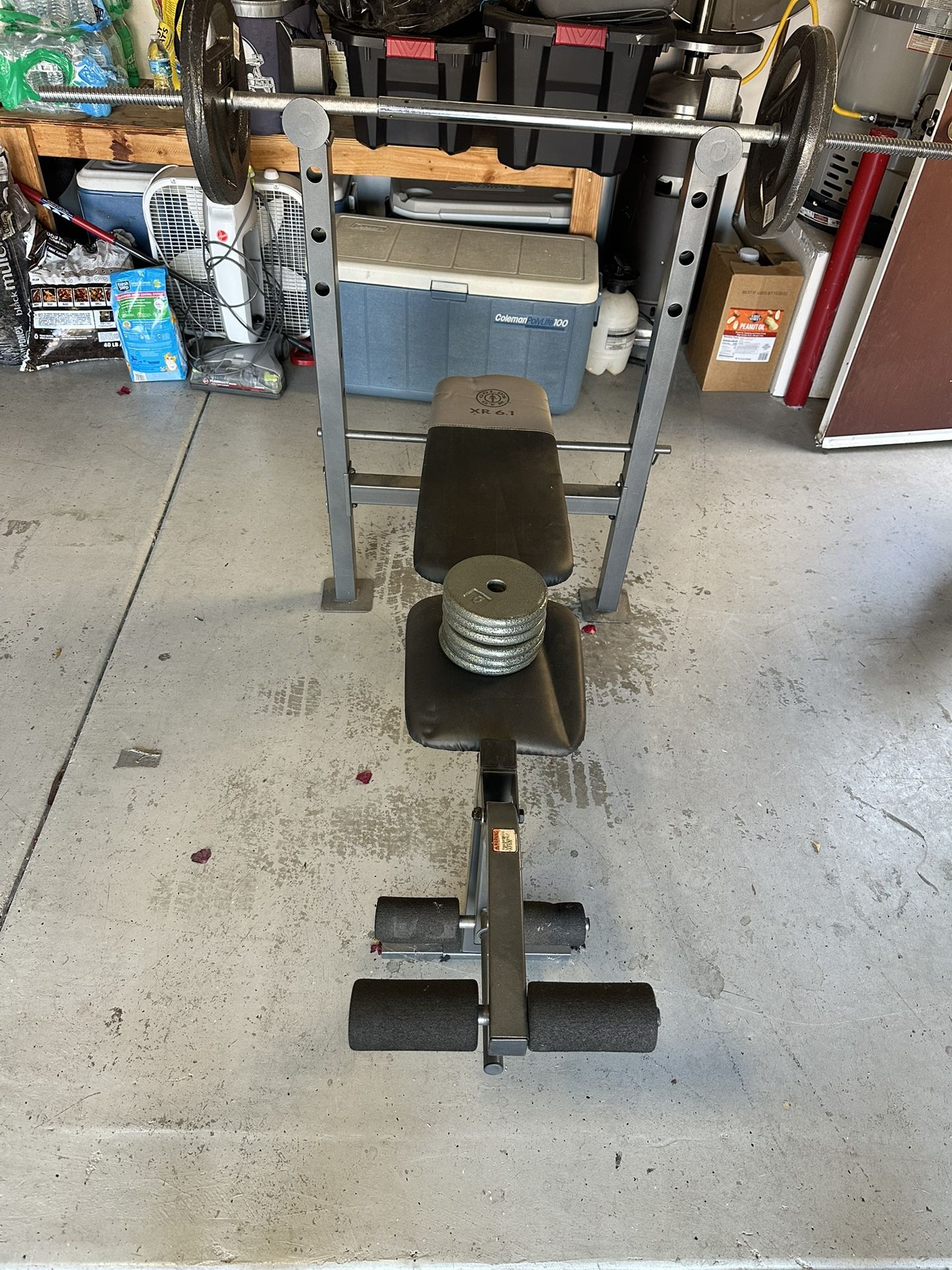 Startup Workout Bench and Curl Bar