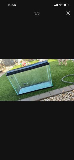 45 gallon tall fish tank