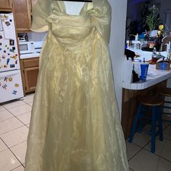 Sweet 16/Wedding Dress Plus Size 18/20