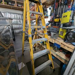 DeWalt 6 foot Fiberglass Ladder
