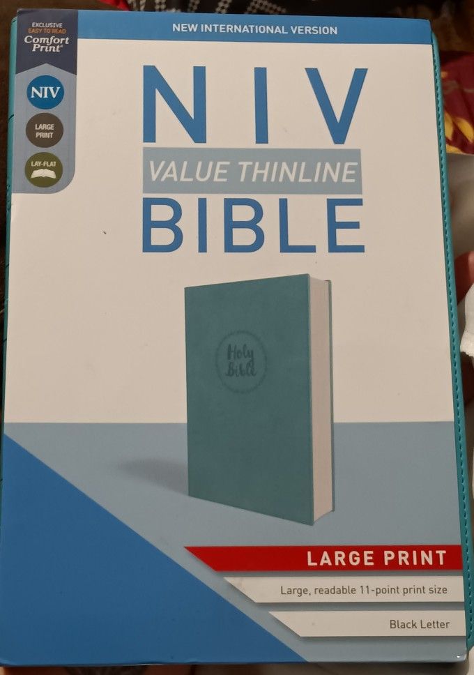 NIV Value Thinline Large Print Bible (TURQUOISE)