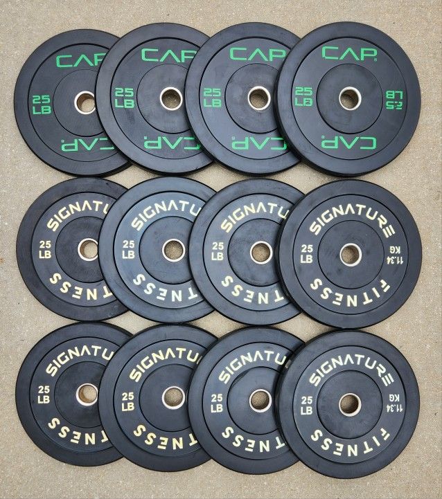 25lb $1 A Pound Bumper Weight Plates