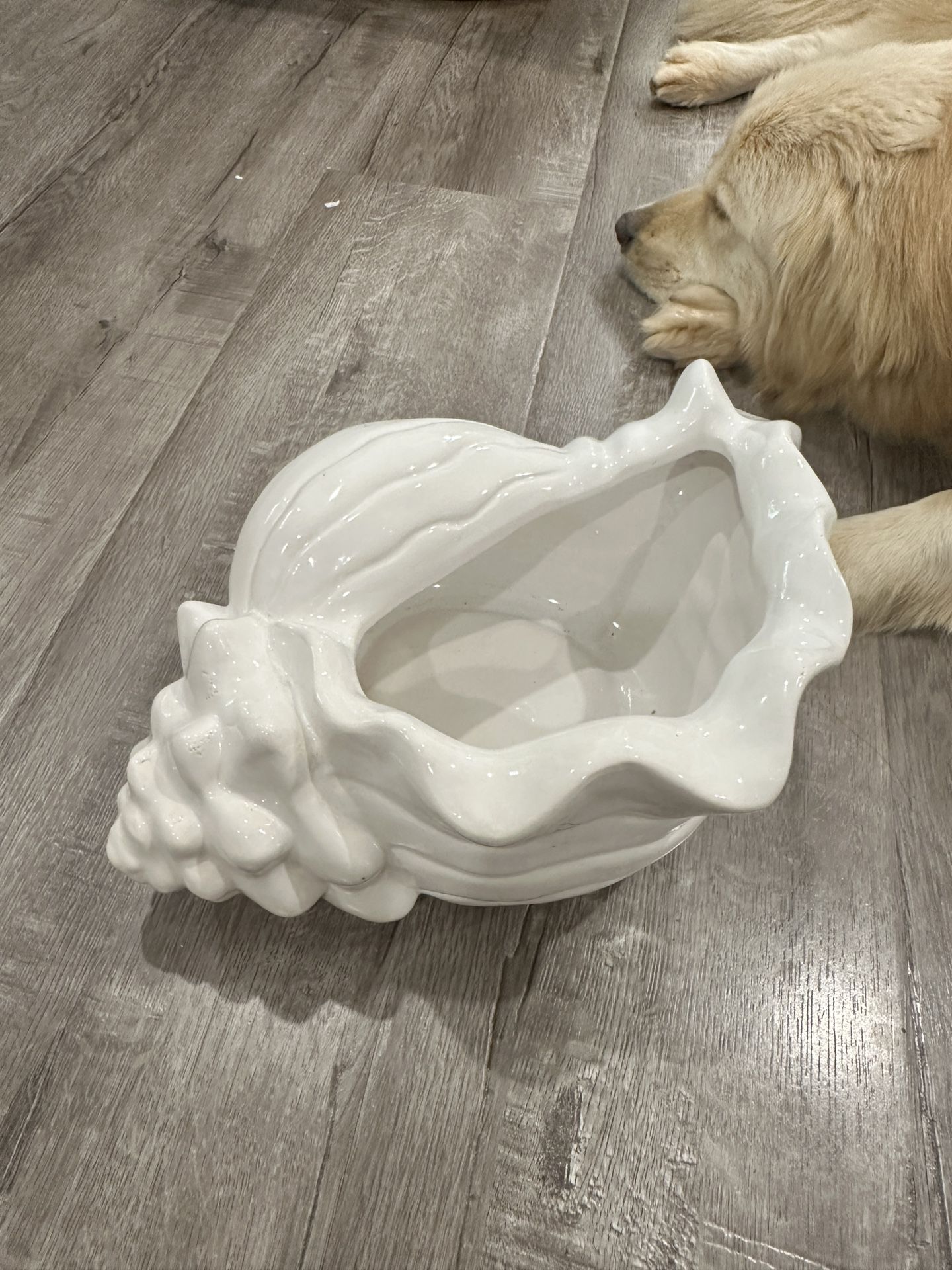 Ceramic Conch Shell Bowl
