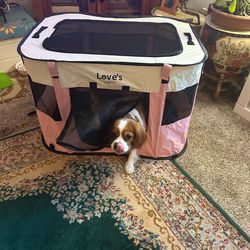 Adorable Doggy Pen Medium