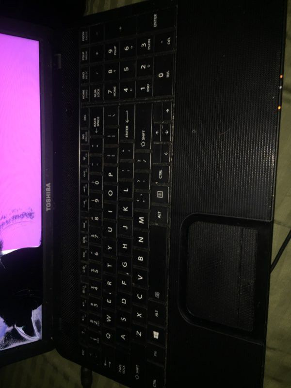 Toshiba Laptop W Charger and Case