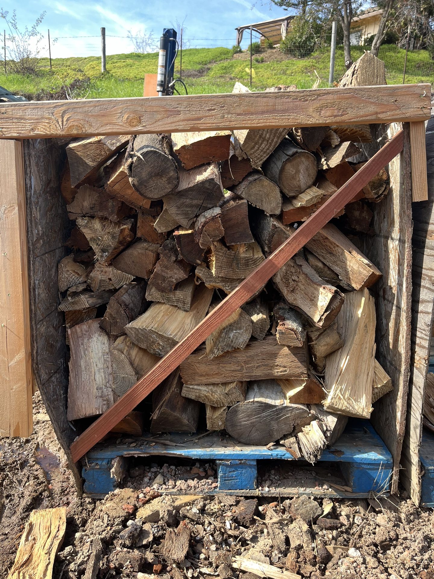 FIREWOOD (Oak And Pine)