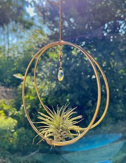 Modern Gold Hoop Air Plant Hanger