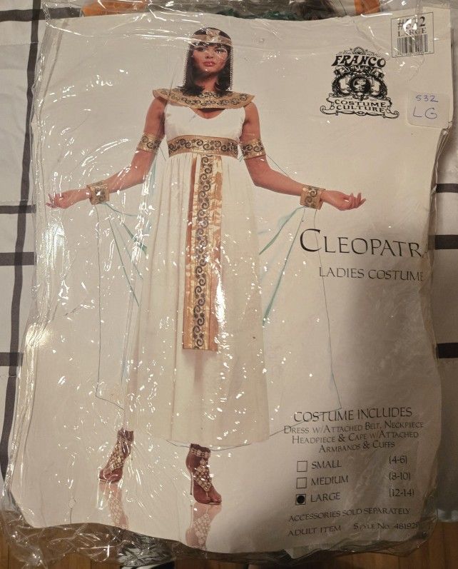 Cleopatra/Princes of the Nile Costume