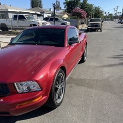 2005 Ford Mustang