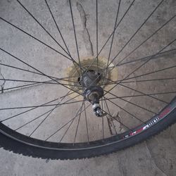 Bike Tire Forsale 