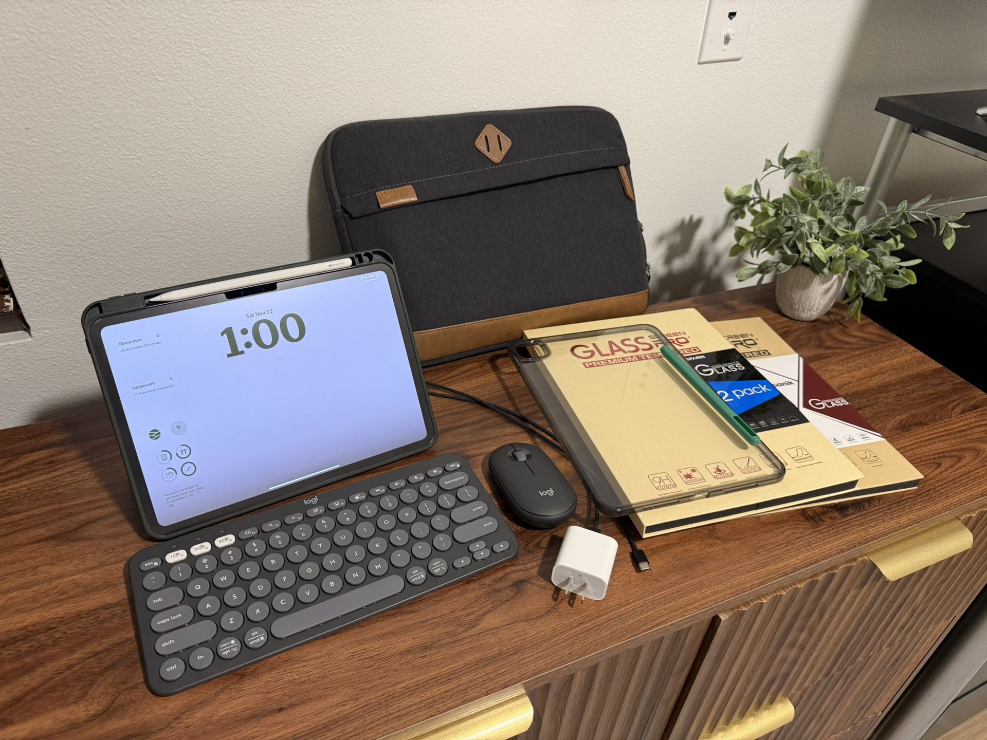 Apple iPad Pro M4 11” 256gb with Apple Pencil Pro and Accessories