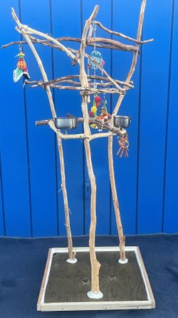 Parrot Perch Tree… Custom Made …. Hard Durable Ribbon Wood, Lasts For Years ! Heaven For Your Mr Feathers … 💯👍🏼