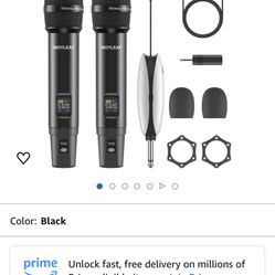 wireless 2 microphone 