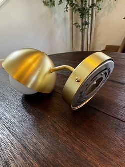 Brushed Brass Wall Sconce Light Fixture