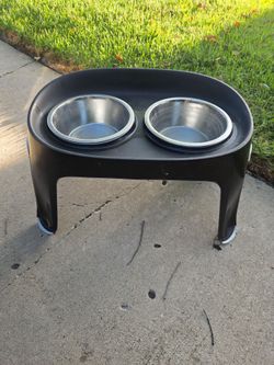 Raised dog bowls
