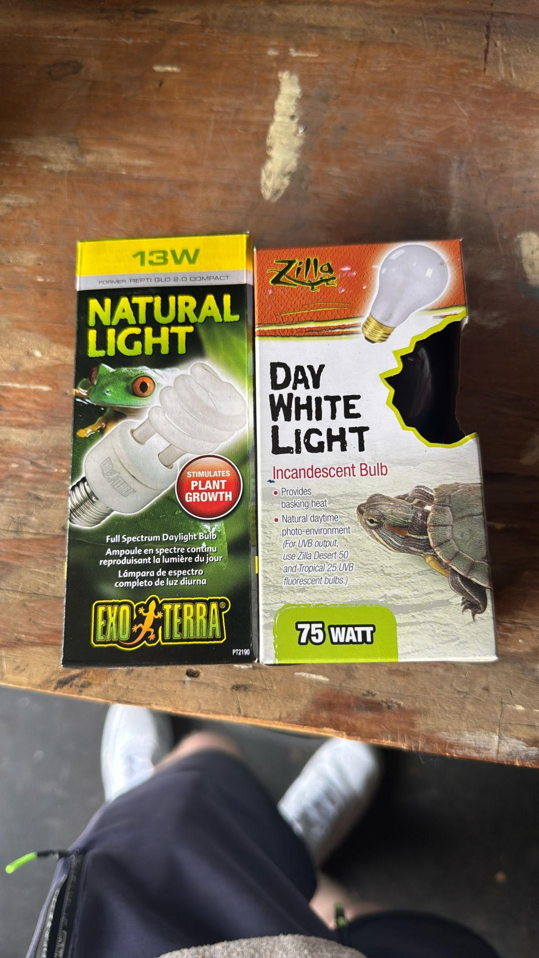 Reptile lights