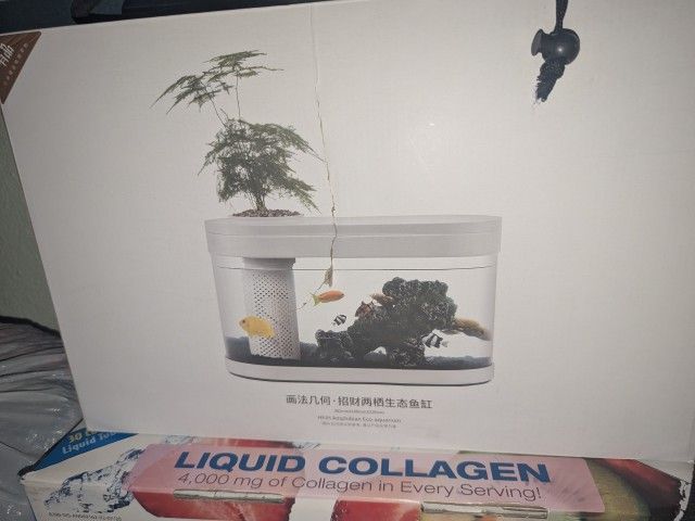 Desktop / Betta Aquarium Fish Tank