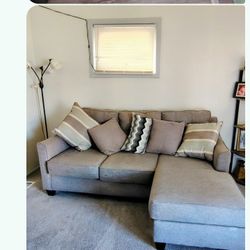 Living Room  Gray Color